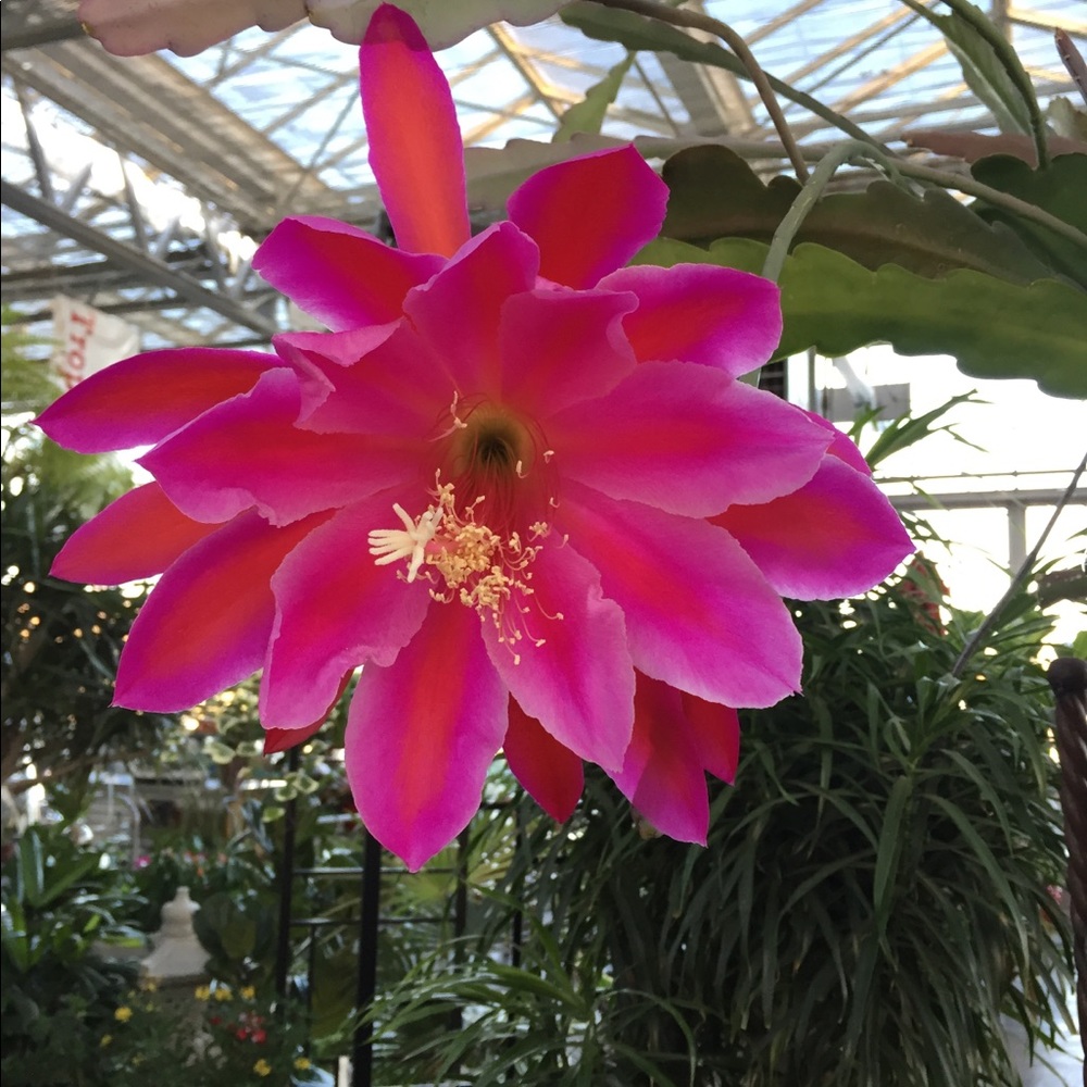 Meet your Posher, Mary